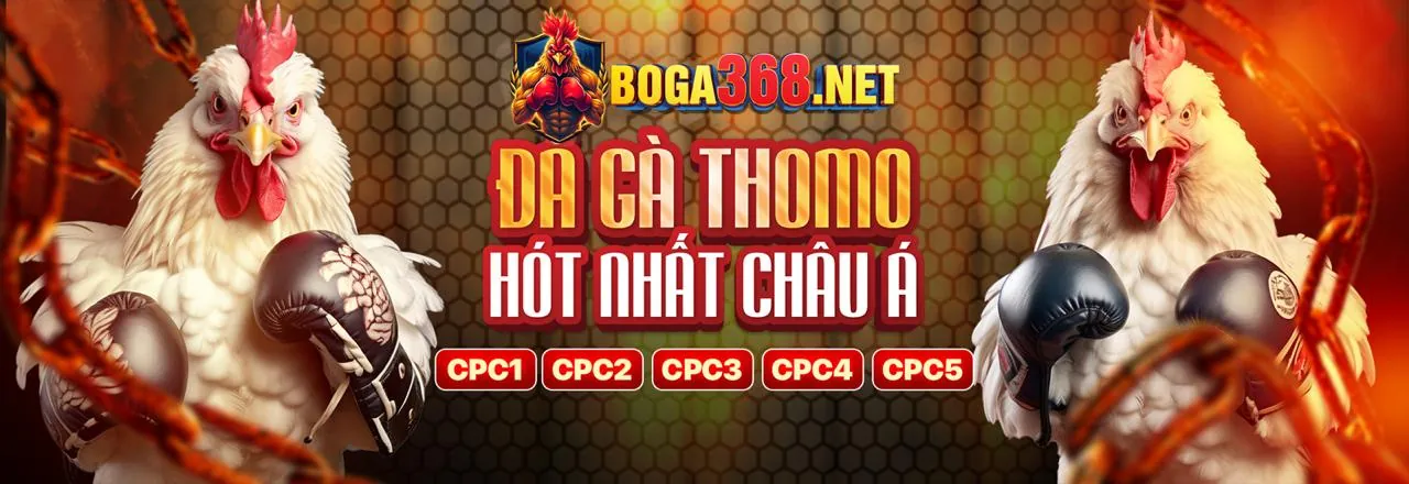 Đá Gà Trực Tuyến Hấp Dẫn tại fb68 link vào